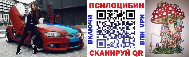 omg ТОР  наркошоп  Новочеркасск  Псилоцибиновые грибы Psilocybe 